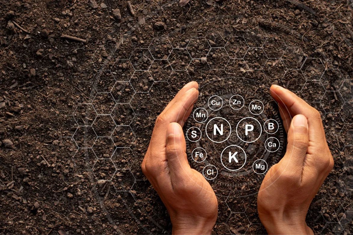 Technology Sahyadri Farmers Producer Co Ltd